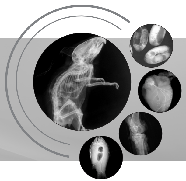 生命科學(xué)研究、小動(dòng)物、種子檢測